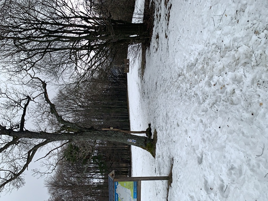 Photo №5 of Foltán-kereszt nyerge