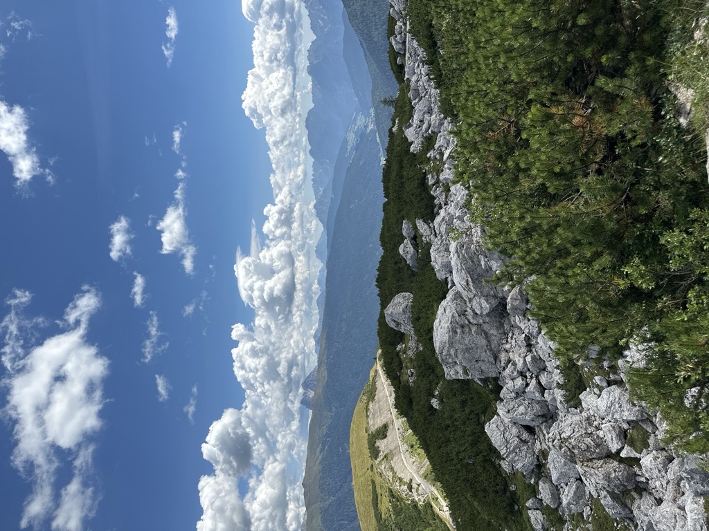 Photo №2 of Forcella Pian della Biscia