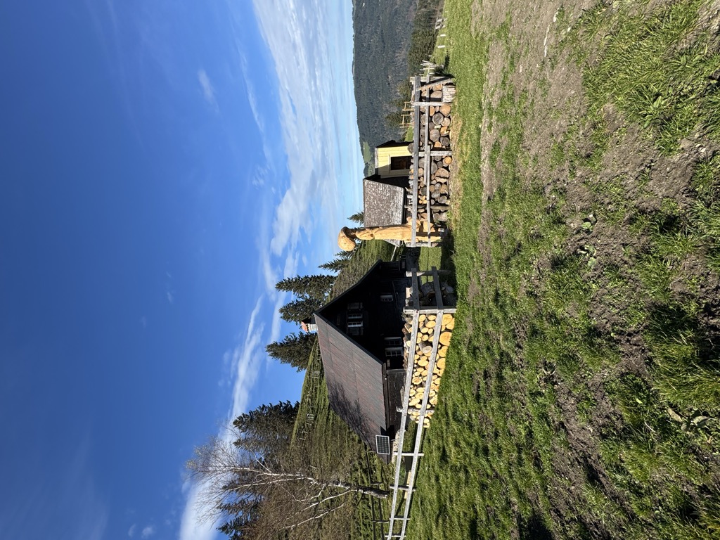 Photo №2 of Forstseeli