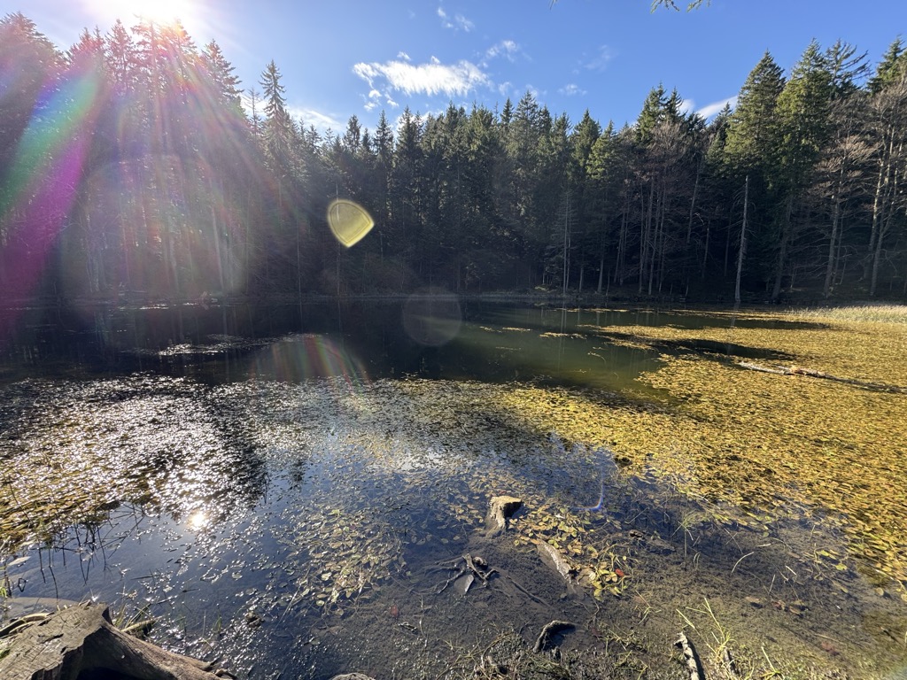 Photo №3 of Forstseeli