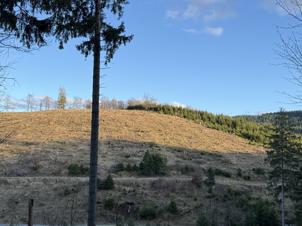 Photo №2 of Frettloh