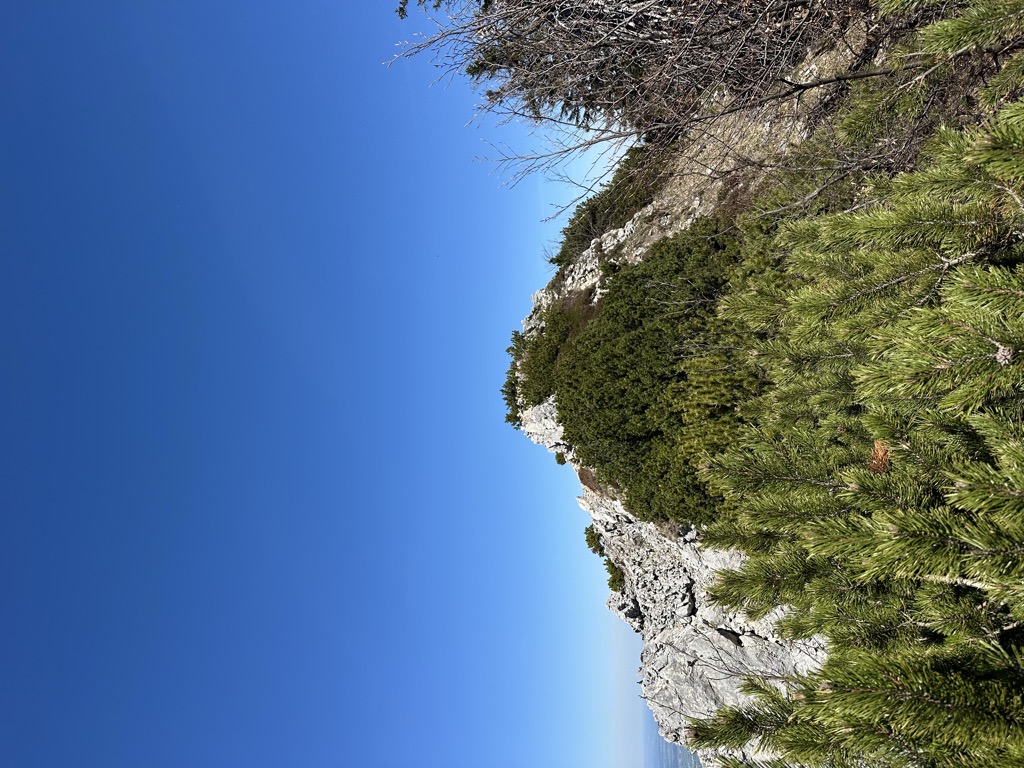 Photo №2 of Friedenrath