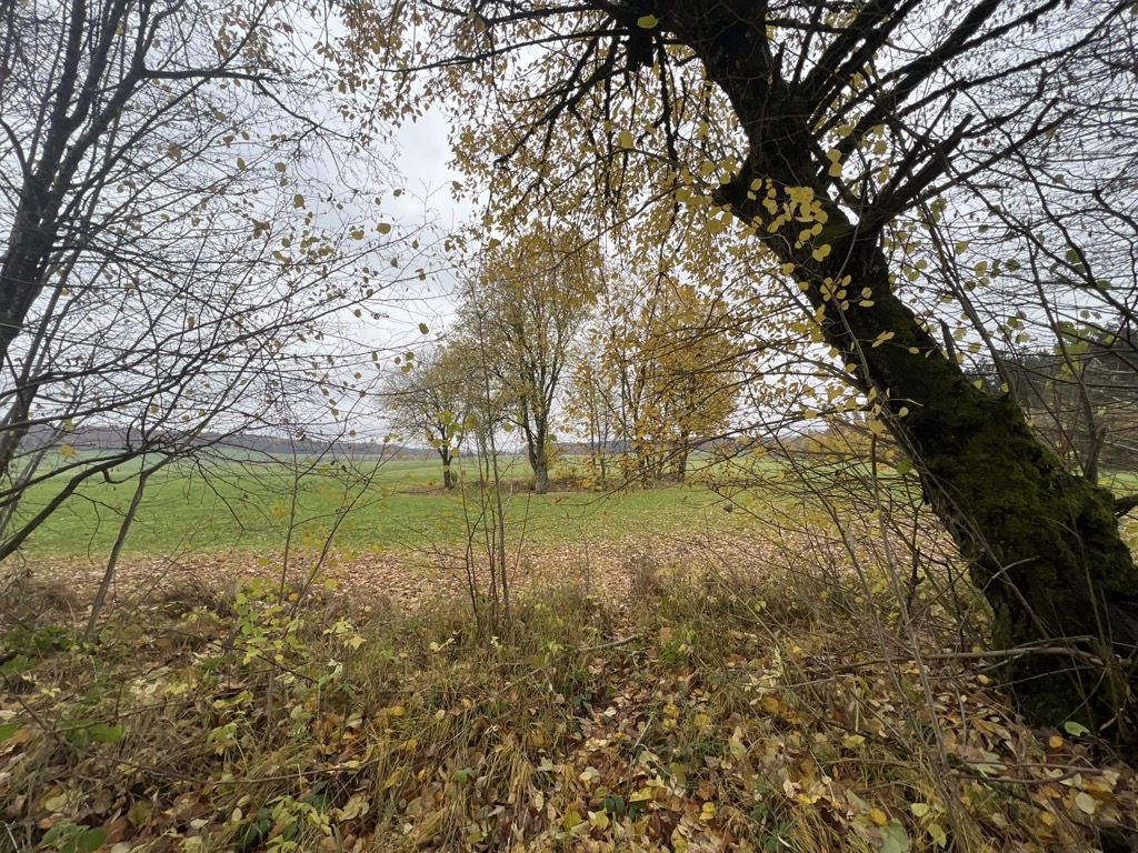 Photo №2 of Fuchshülbe