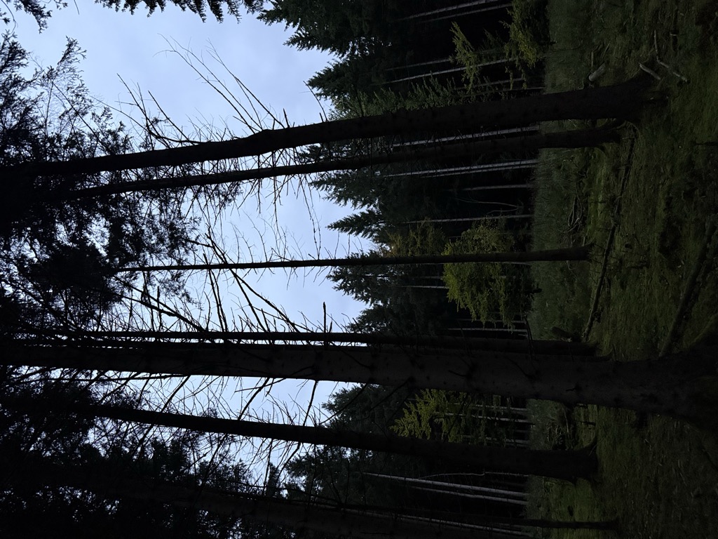 Photo №2 of Füllenberg