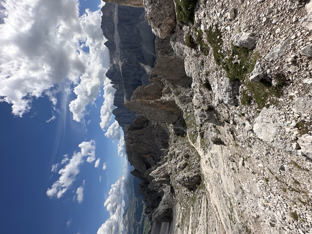 Photo №7 of Furcela de Cir