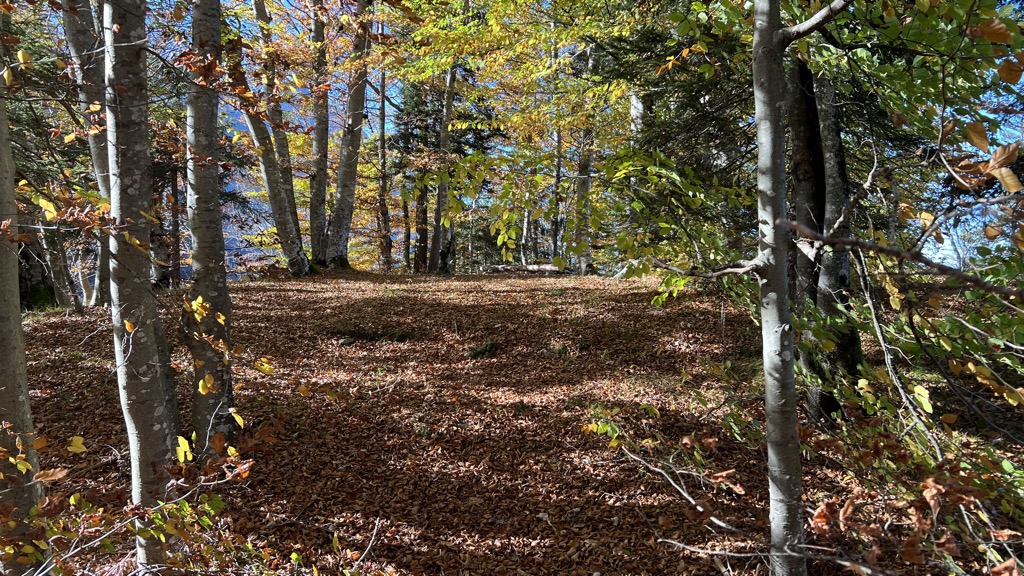 Photo №2 of Fürkele