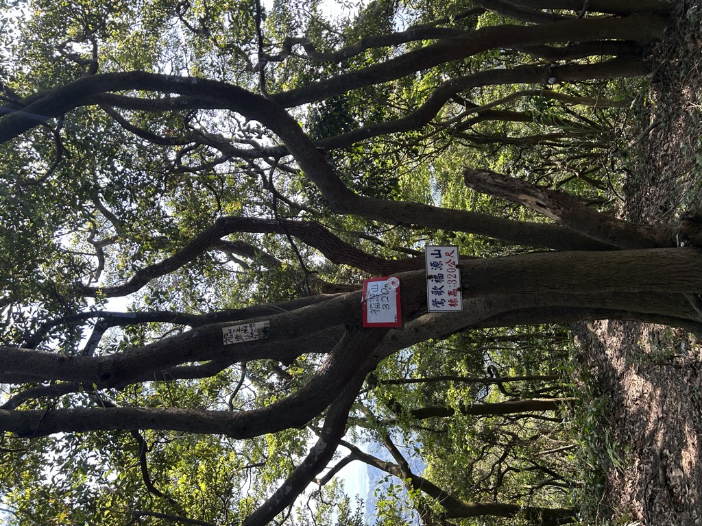 Photo №1 of Fuyuanshan