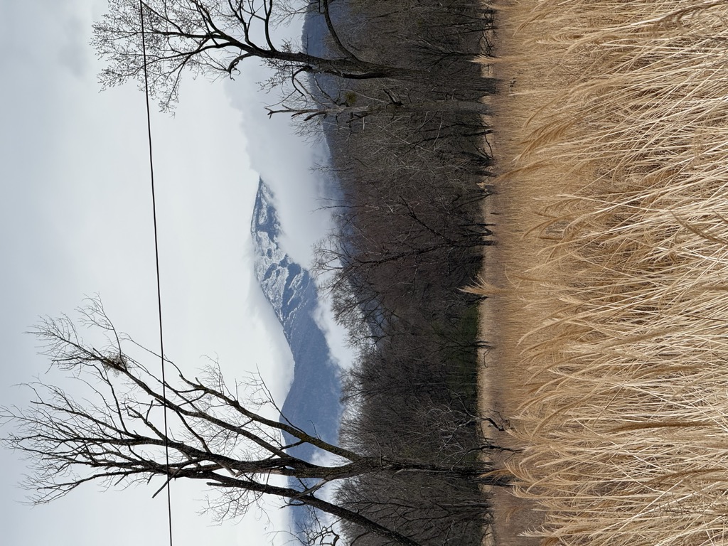 Photo №3 of G. Livadiiskaya (Pidan)