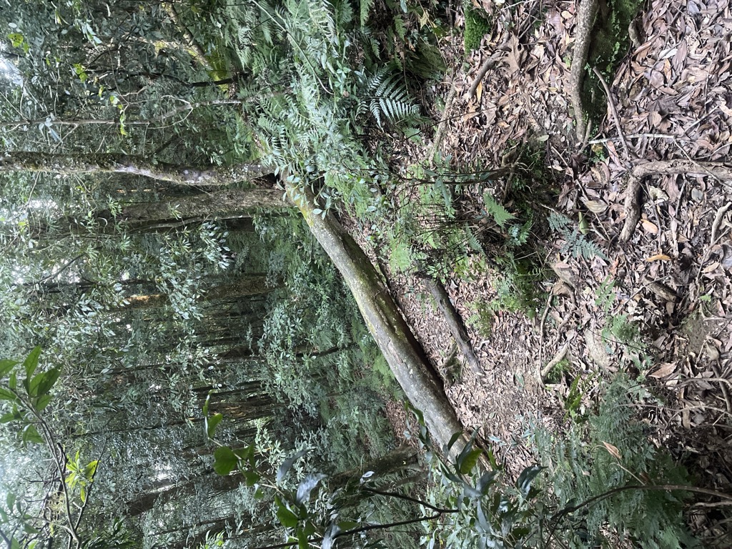 Photo №5 of Gaotaishan
