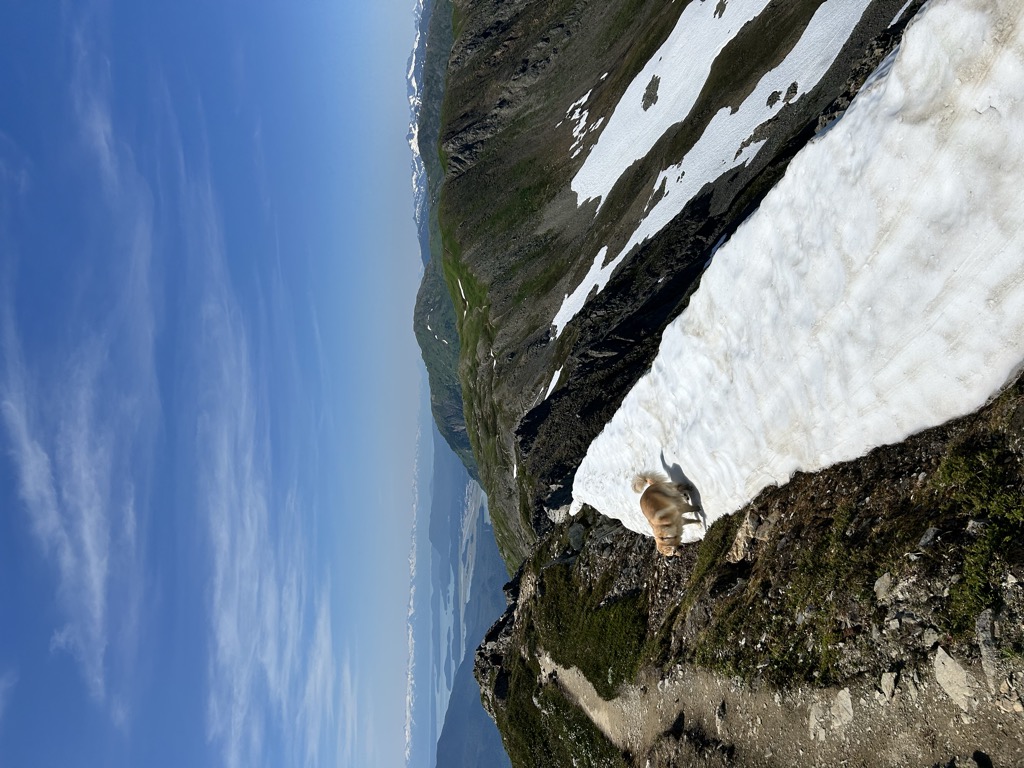 Photo №1 of Gastineau Peak