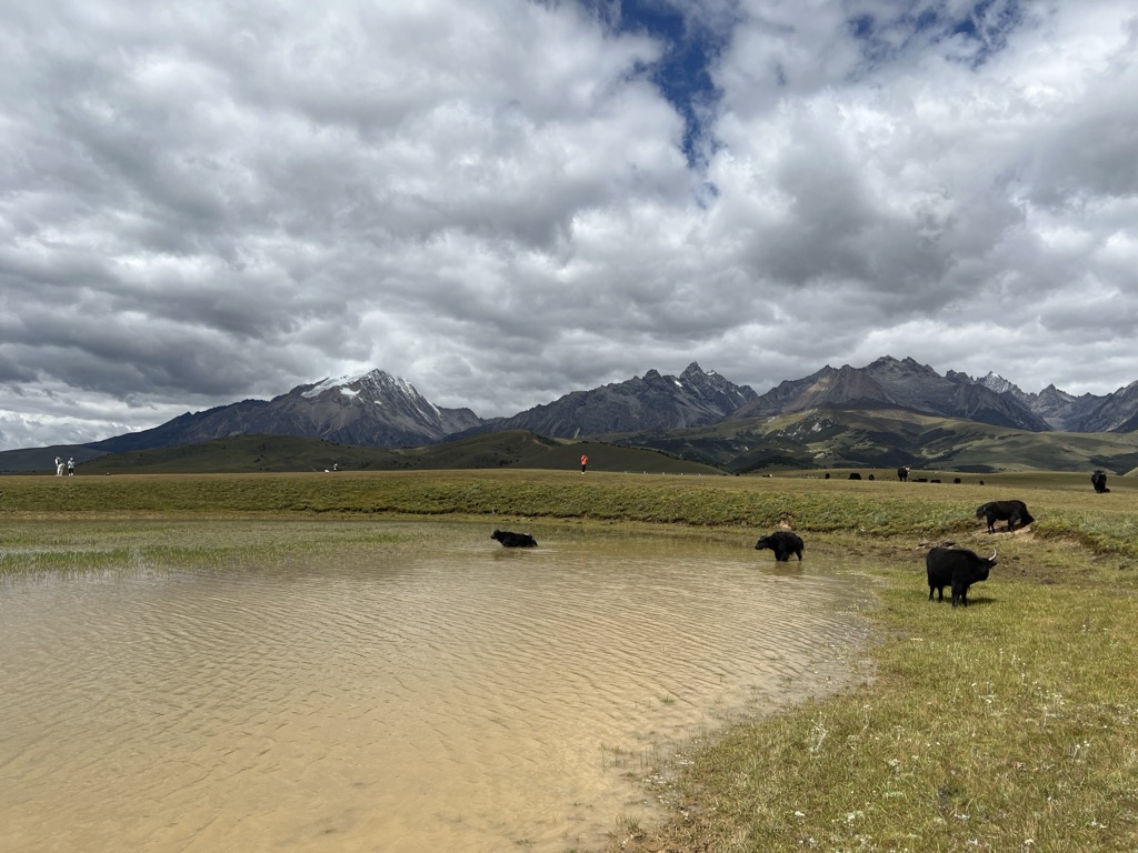 Photo №3 of Gé Niè Zhī Yǎn