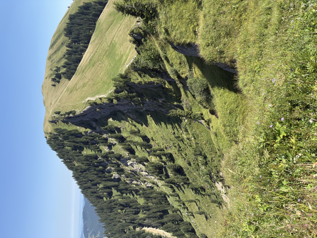 Photo №1 of Gelchenwanger Kopf