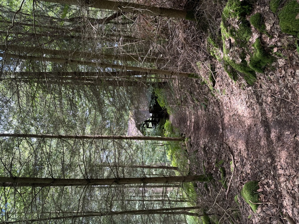 gemsenstein-hutte