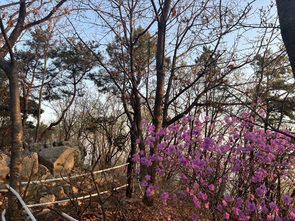 Photo №1 of Geomasan