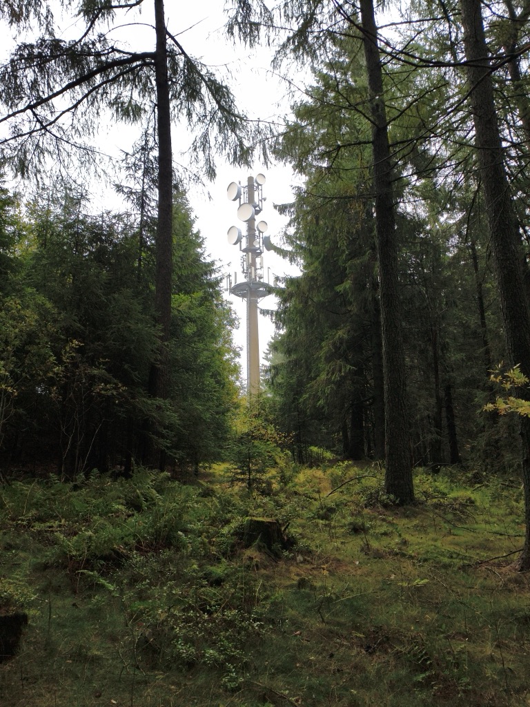 Photo №2 of Gerkenstein