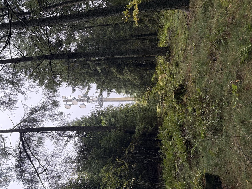 Photo №3 of Gerkenstein