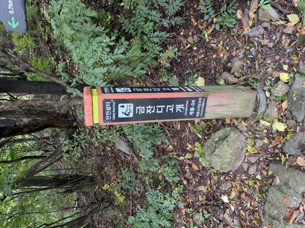 Geumjandigogae