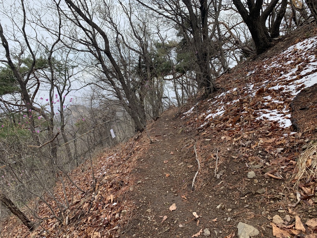 Photo №2 of Ggoggalbong