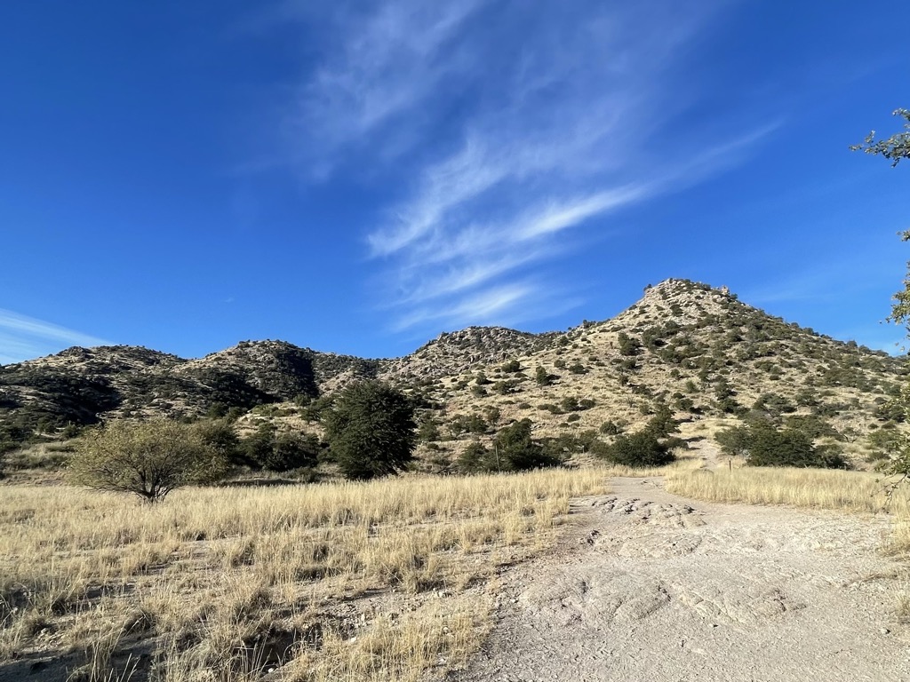 Photo №1 of Gibbon Mountain