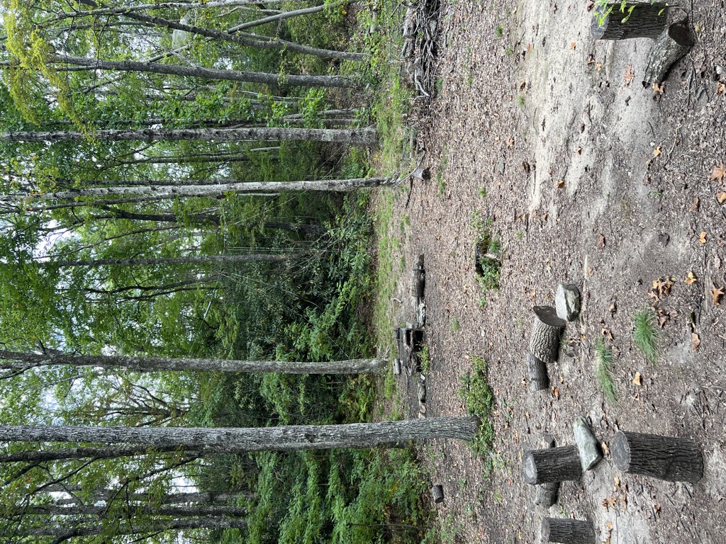 Gibsons Gap