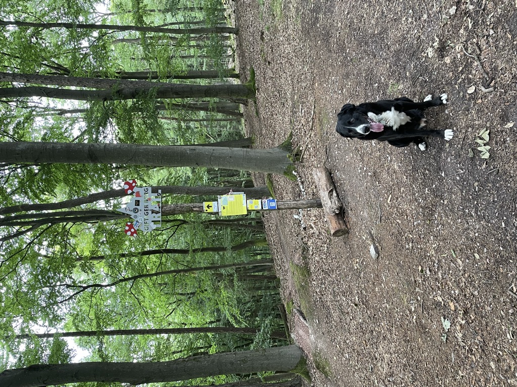 Photo №1 of Giftiger Berg