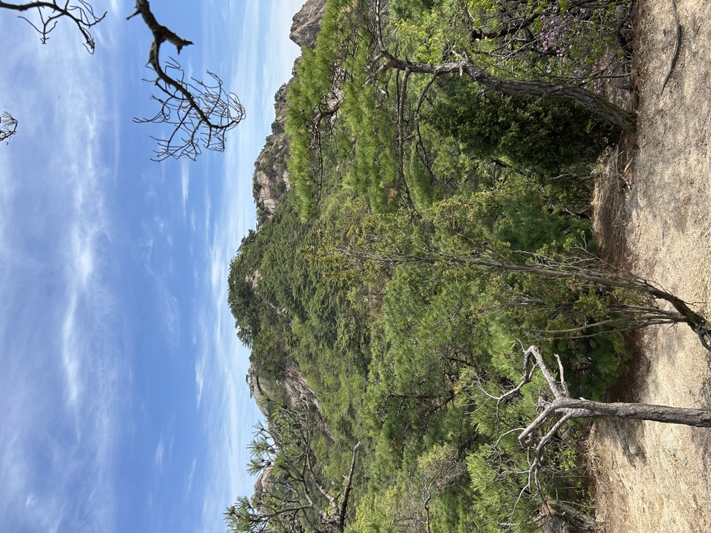 Photo №1 of Gijabong