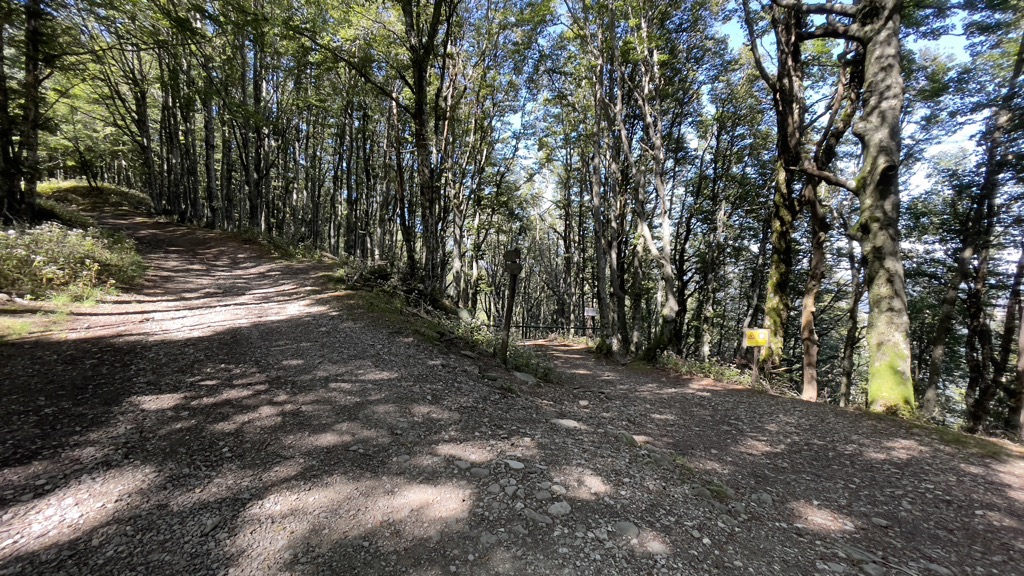 Gioghetto