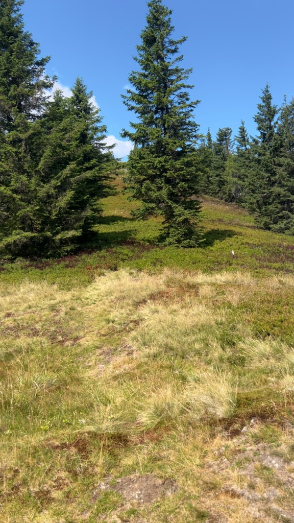 Photo №1 of Gipfel zwischen Fensteralm und Polsterkogel