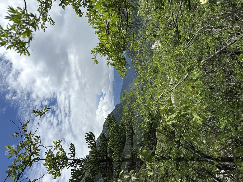 Photo №8 of Glacial Lake