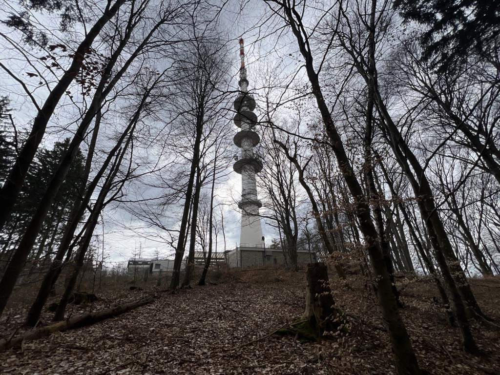 Photo №2 of Glasenberg
