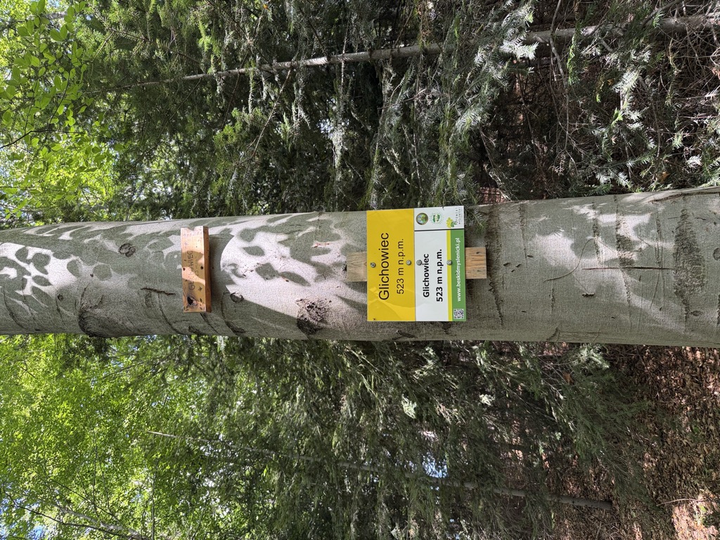 Photo №2 of Glichowiec