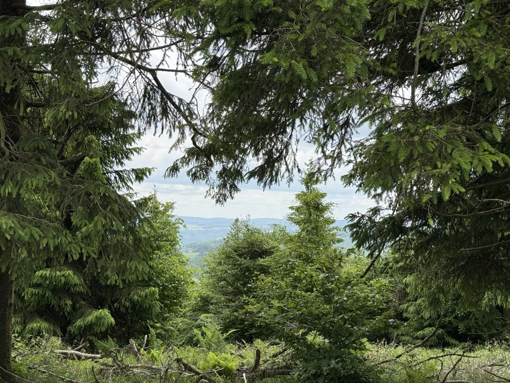 Photo №1 of Glindfeld