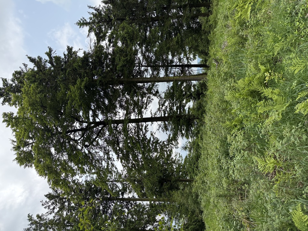 Photo №2 of Glindfeld