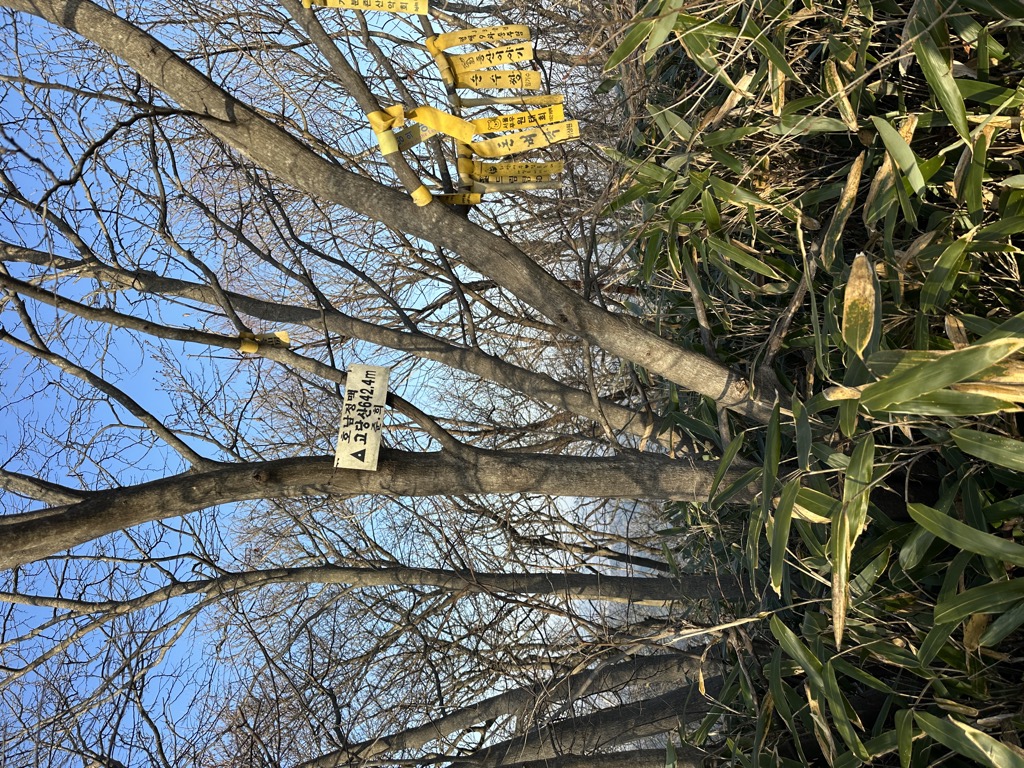 Photo №1 of Godangsan