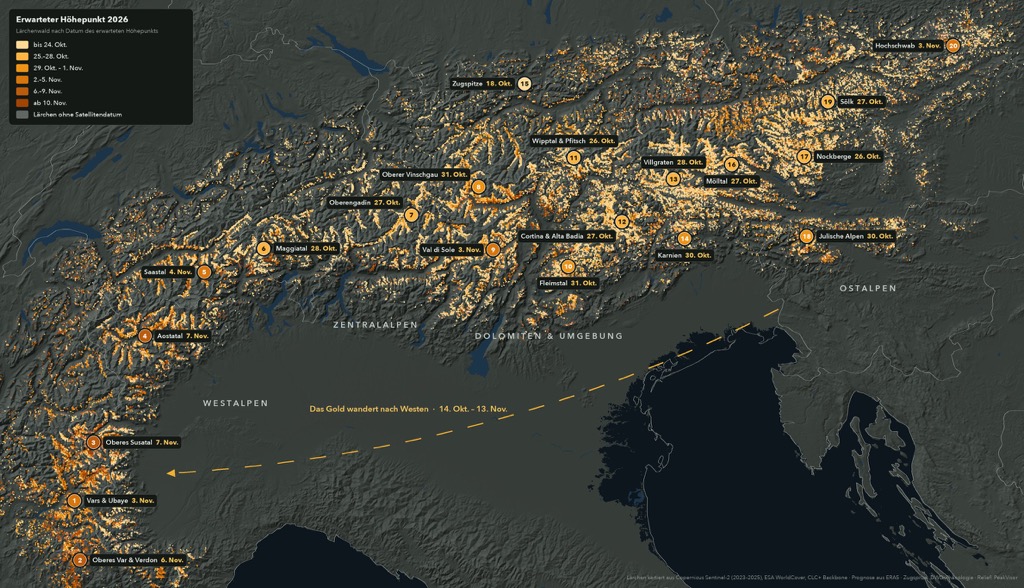 Goldene Lärchen 2026: Wann und wo sich die Alpen golden färben