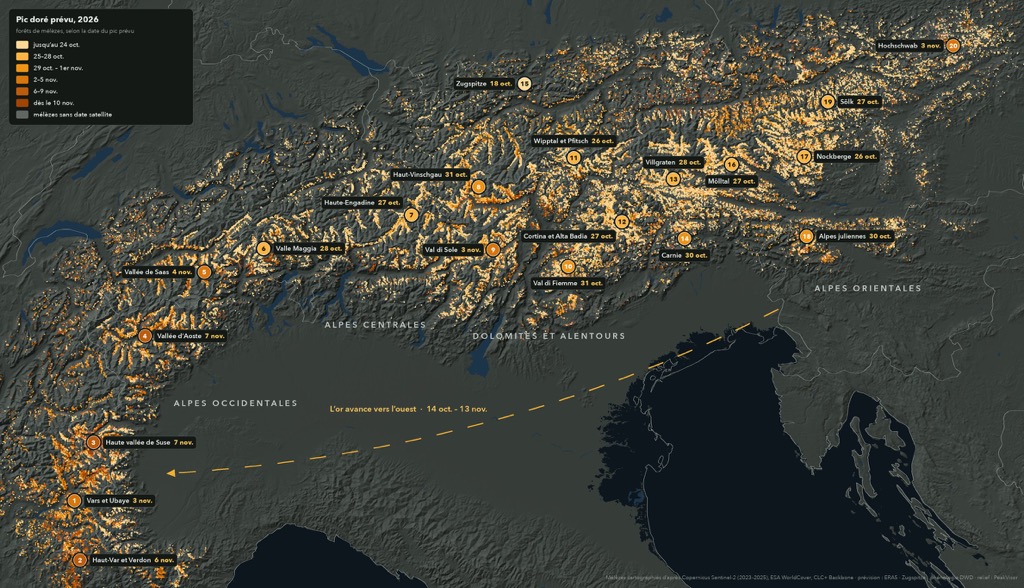 Mélèzes dorés 2026 : quand et où les Alpes se parent d'or