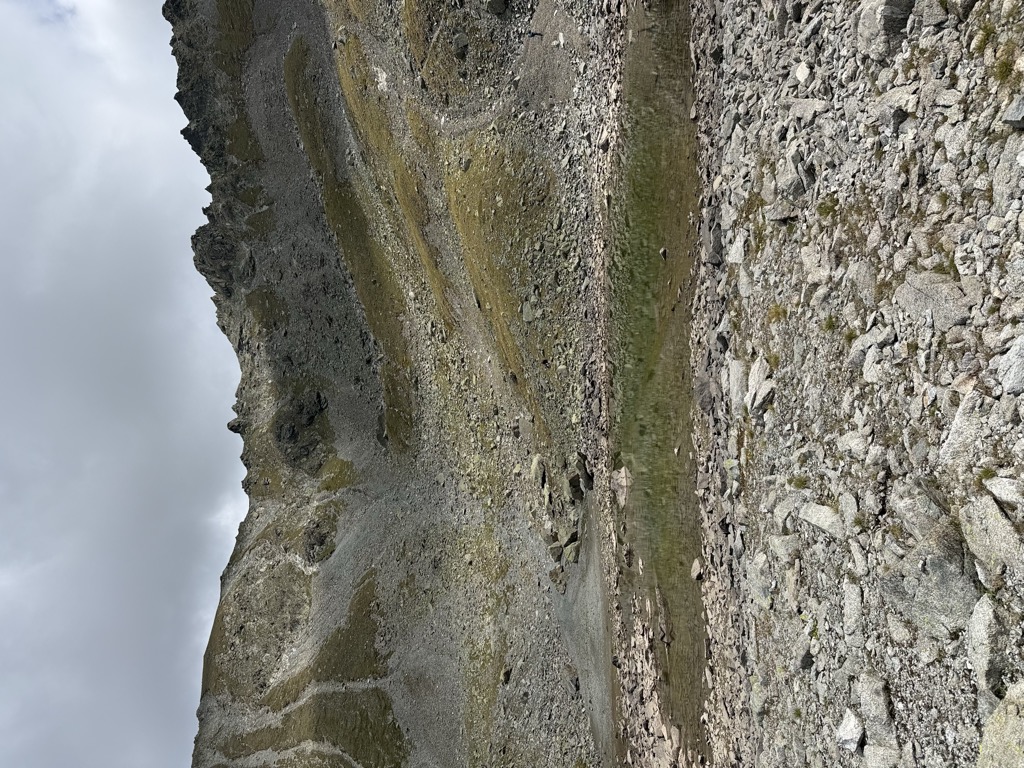 Photo №3 of Goldseen