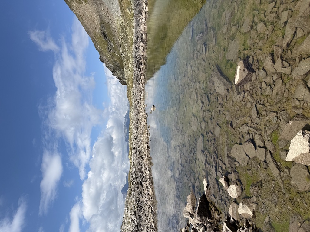 Photo №2 of Goldseen