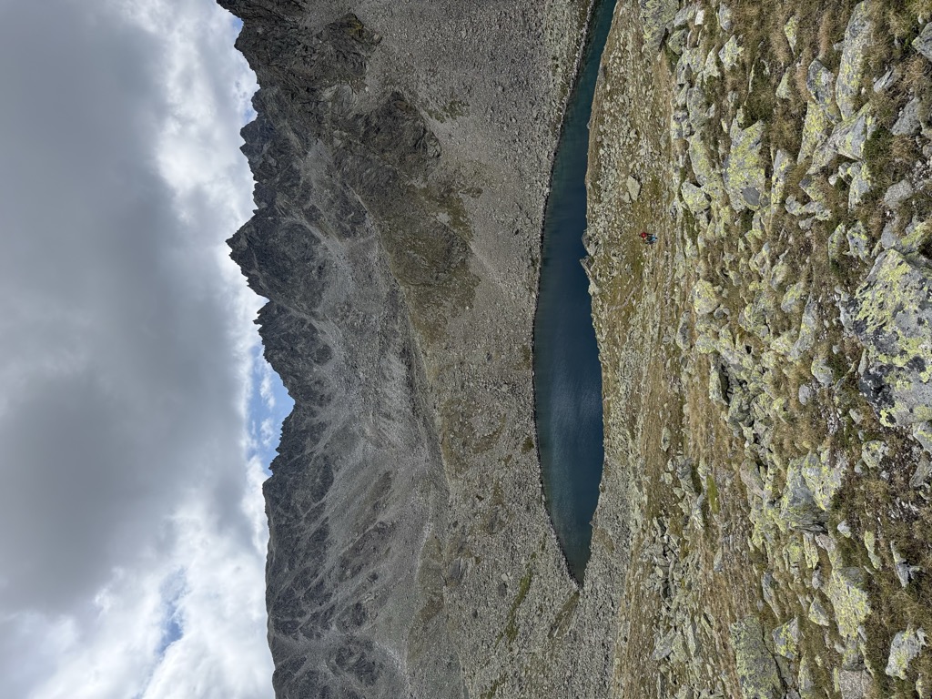 Photo №2 of Goldseen