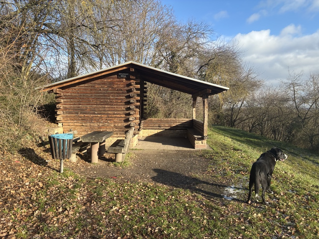 golzmauer-hutte-2