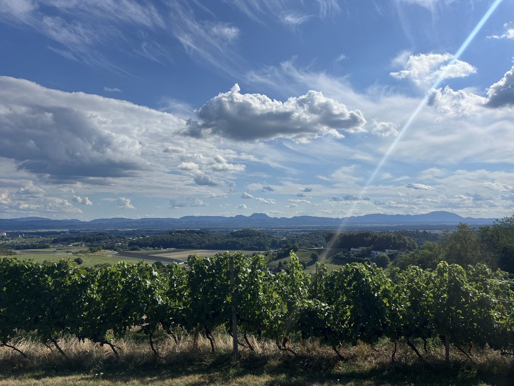 Photo №2 of Gomila
