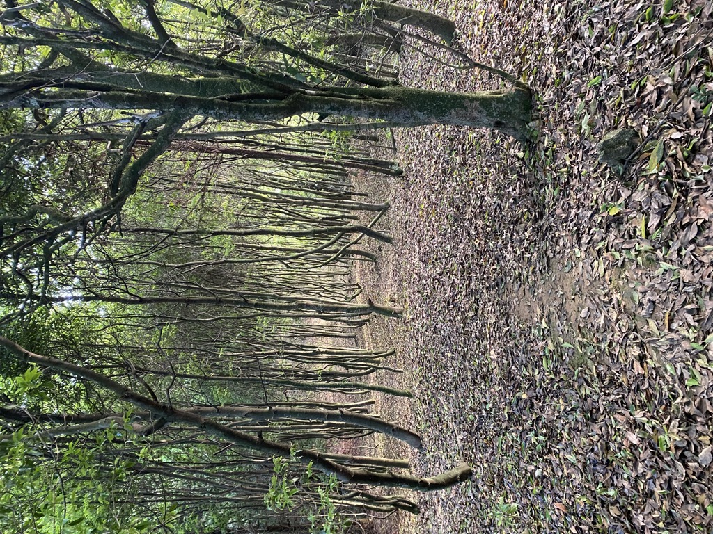 Photo №2 of Gòng Yuàn Lǐng