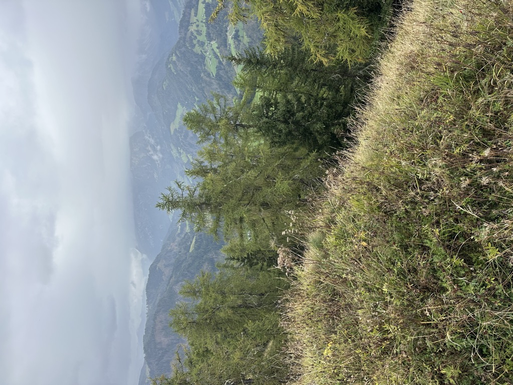 Photo №1 of Gran Pizat