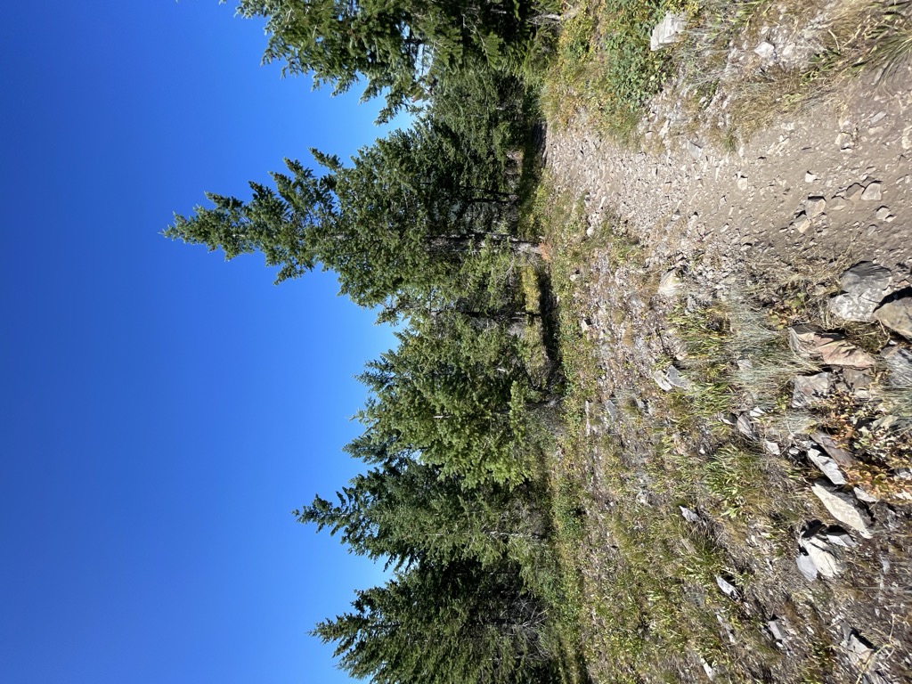 Green Monarch Ridge
