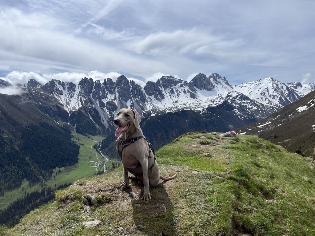 Photo №2 of Grieskogel
