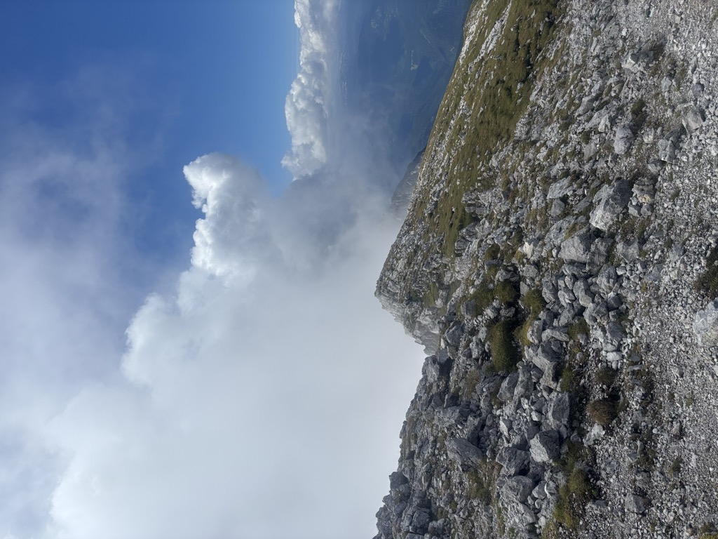 Photo №1 of Grimming