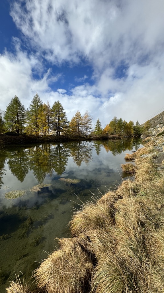 Photo №3 of Grindjisee