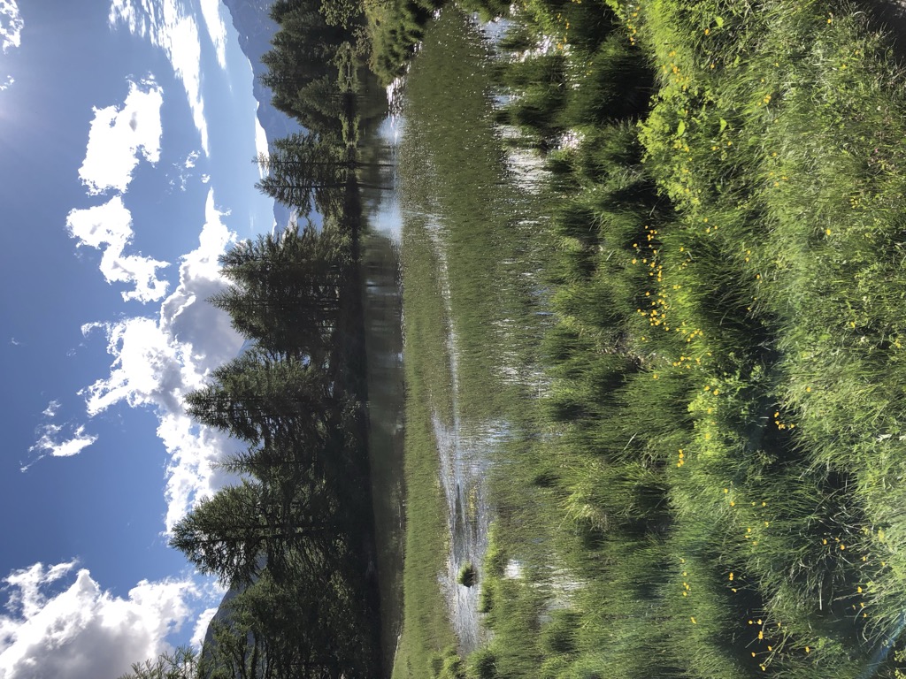 Photo №2 of Grindjisee