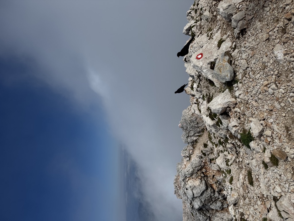 Photo №1 of Grintovec