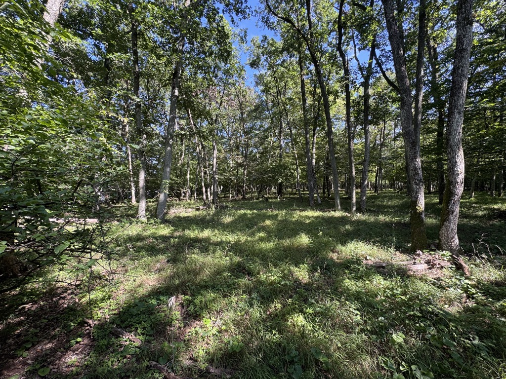 Photo №2 of Grnica
